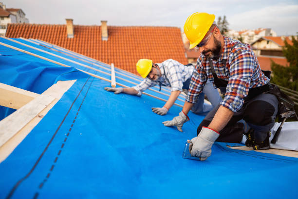 Best Metal Roofing Contractor  in Green Bay, WI